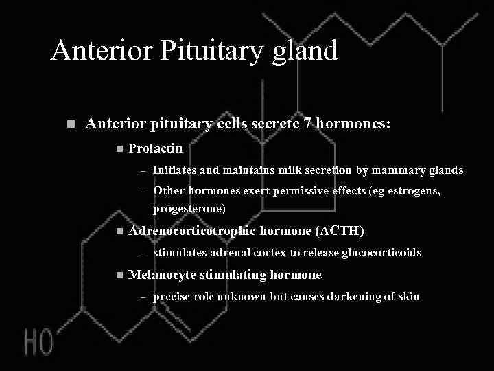 Anterior Pituitary gland n Anterior pituitary cells secrete 7 hormones: n Prolactin – –
