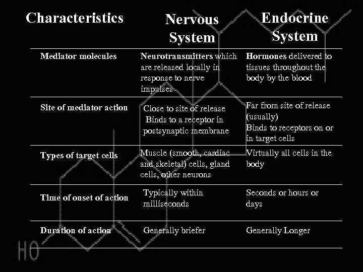 Characteristics Endocrine System Nervous System Mediator molecules Neurotransmitters which Hormones delivered to are released