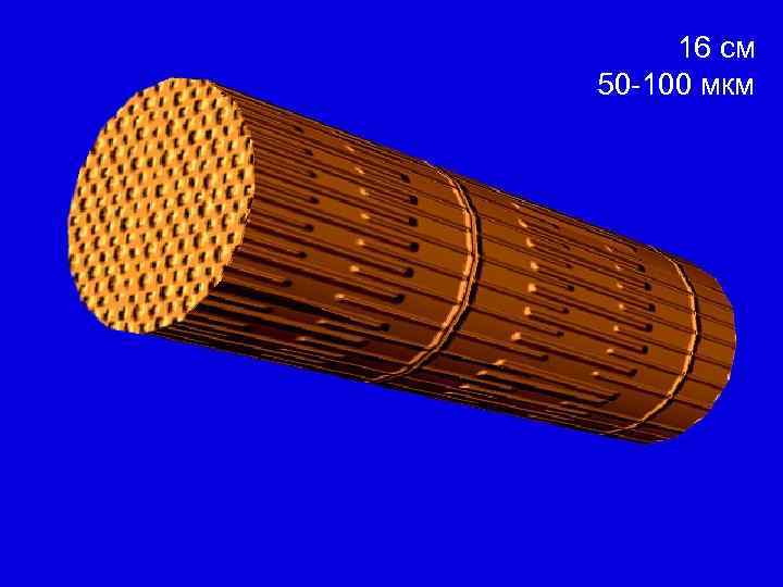 16 см 50 -100 мкм 