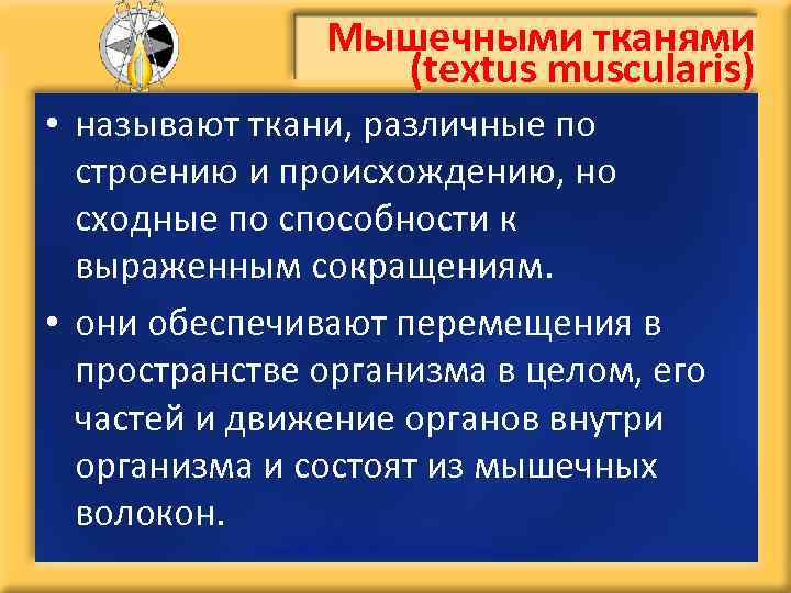 Мышечными тканями (textus muscularis) • называют ткани, различные по строению и происхождению, но сходные