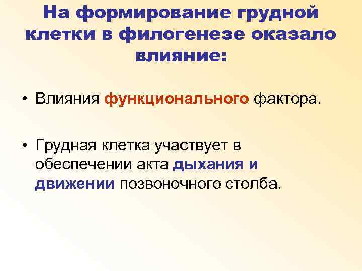 На формирование грудной клетки в филогенезе оказало влияние: • Влияния функционального фактора. • Грудная