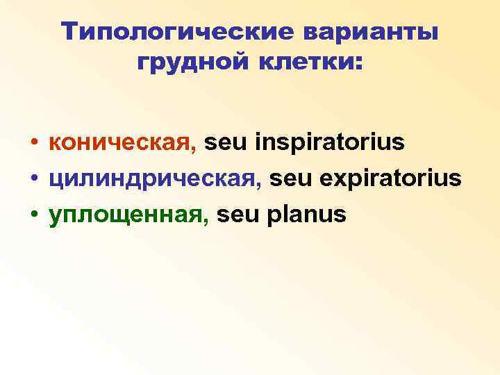 Типологические варианты грудной клетки: • коническая, seu inspiratorius • цилиндрическая, seu expiratorius • уплощенная,