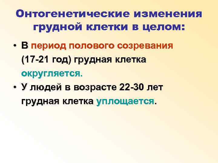 Онтогенетические изменения грудной клетки в целом: • В период полового созревания (17 -21 год)