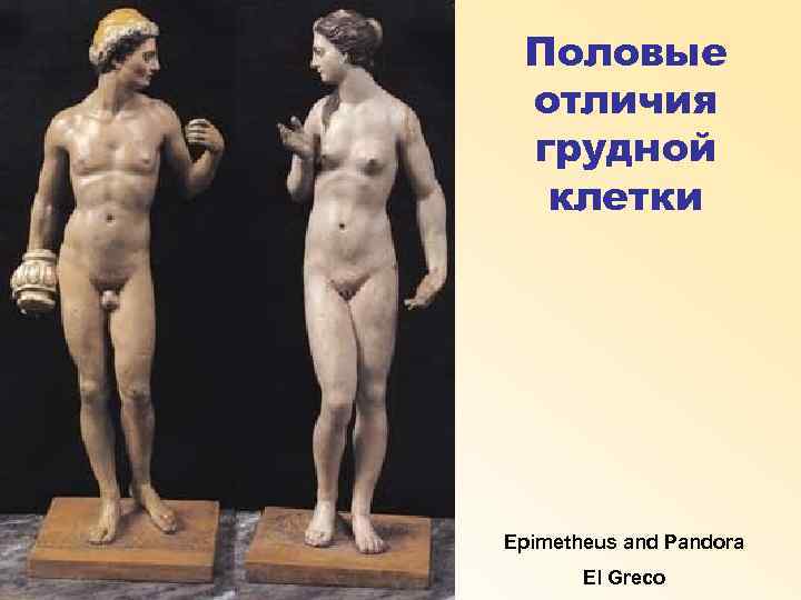 Половые отличия грудной клетки Epimetheus and Pandora El Greco 