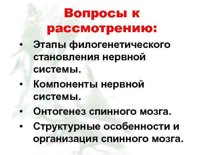 Вопросы к рассмотрению: • Этапы филогенетического становления нервной системы. • Компоненты нервной системы. •