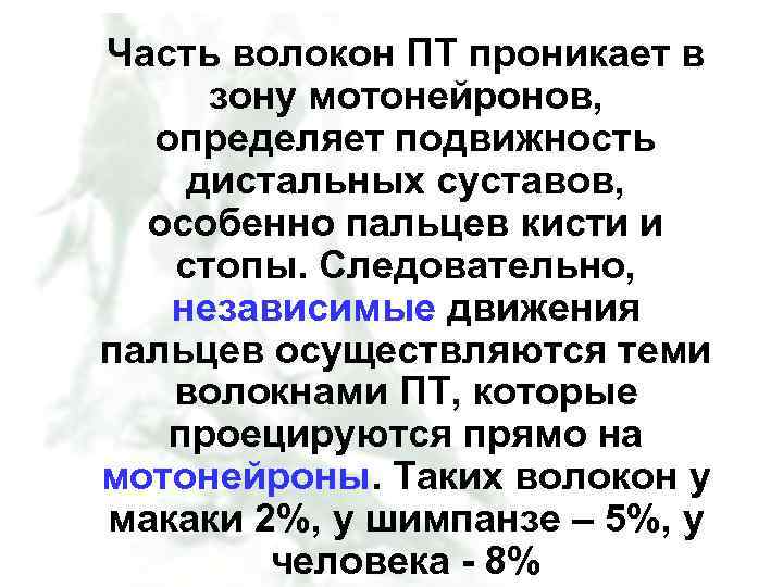 Часть волокон ПТ проникает в зону мотонейронов, определяет подвижность дистальных суставов, особенно пальцев кисти