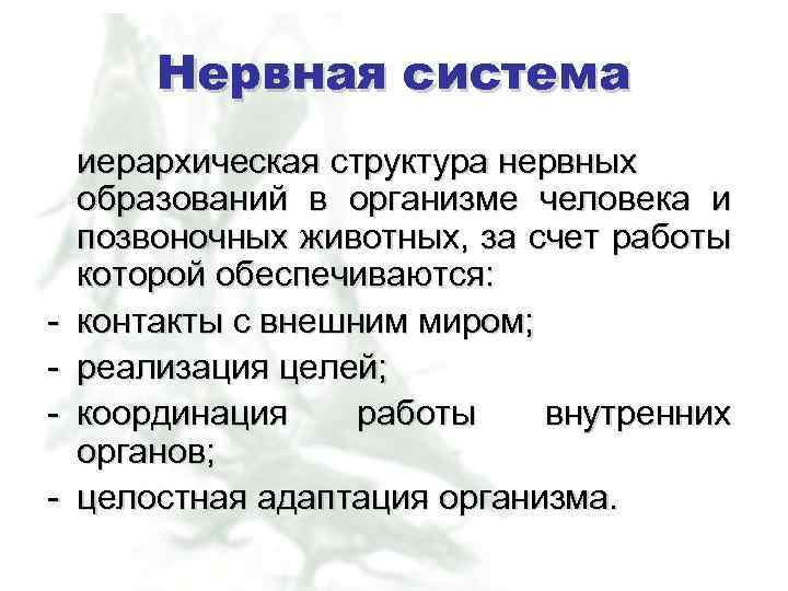 Нервная система - иерархическая структура нервных образований в организме человека и позвоночных животных, за