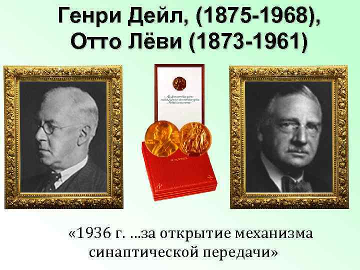 Генри Дейл, (1875 -1968), Отто Лёви (1873 -1961) « 1936 г. …за открытие механизма