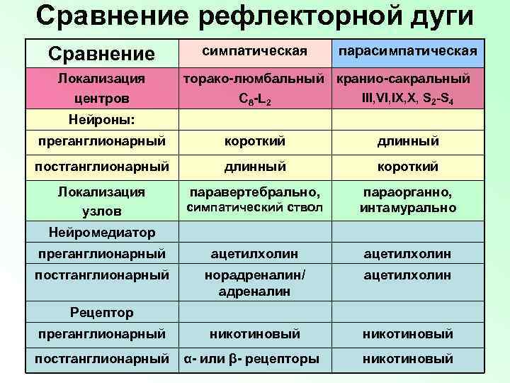 Сравнение рефлекторной дуги Сравнение Локализация центров симпатическая парасимпатическая торако-люмбальный кранио-сакральный III, VI, IX, X,