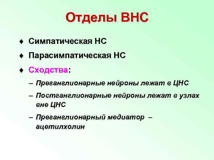 Отделы ВНС ¨ Симпатическая НС ¨ Парасимпатическая НС ¨ Сходства: – Преганглионарные нейроны лежат