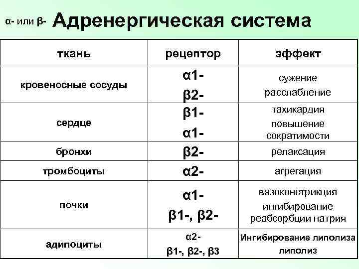 α- или β- Адренергическая система ткань кровеносные сосуды сердце бронхи тромбоциты рецептор α 1β