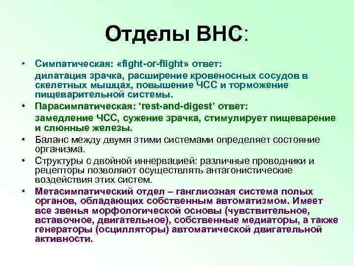 Отделы ВНС: • Симпатическая: «fight-or-flight» ответ: дилатация зрачка, расширение кровеносных сосудов в скелетных мышцах,