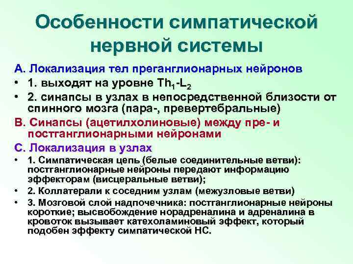 Особенности симпатической нервной системы A. Локализация тел преганглионарных нейронов • 1. выходят на уровне