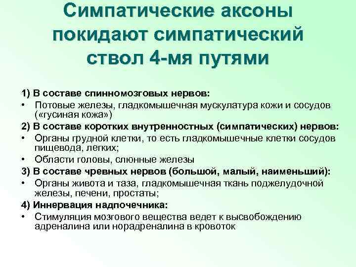 Симпатические аксоны покидают симпатический ствол 4 -мя путями 1) В составе спинномозговых нервов: •