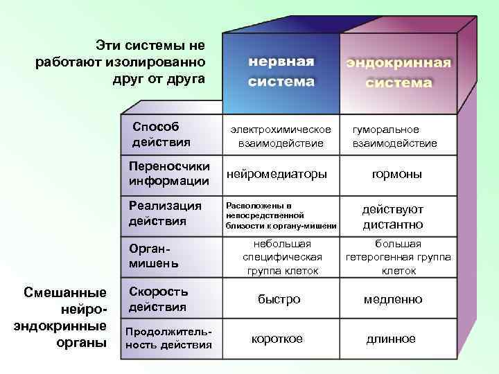 Эти системы не работают изолированно друг от друга Способ действия электрохимическое взаимодействие Переносчики информации