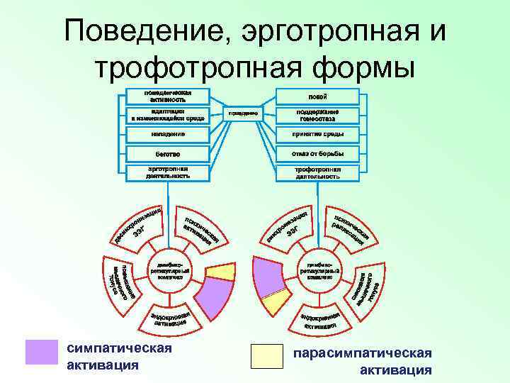 Системные представления