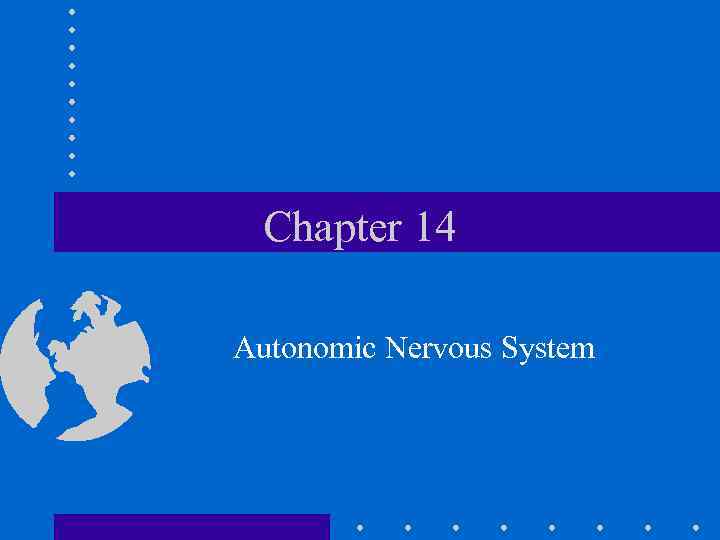 Chapter 14 Autonomic Nervous System 
