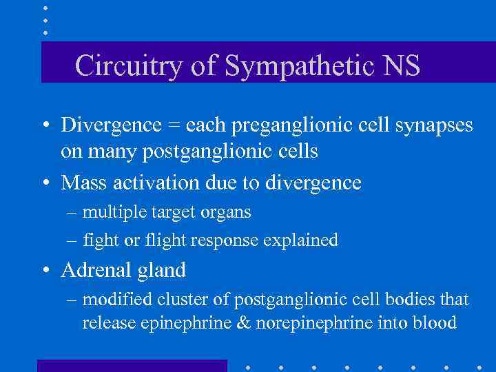 Circuitry of Sympathetic NS • Divergence = each preganglionic cell synapses on many postganglionic