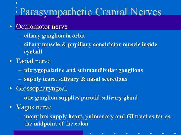 Parasympathetic Cranial Nerves • Oculomotor nerve – ciliary ganglion in orbit – ciliary muscle