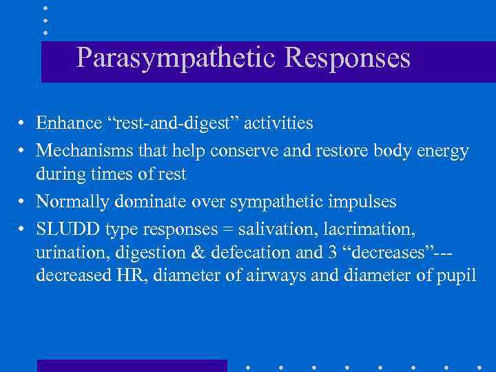 Parasympathetic Responses • Enhance “rest-and-digest” activities • Mechanisms that help conserve and restore body