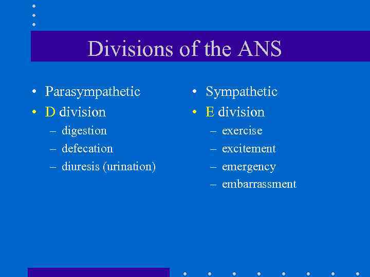 Divisions of the ANS • Parasympathetic • D division – digestion – defecation –