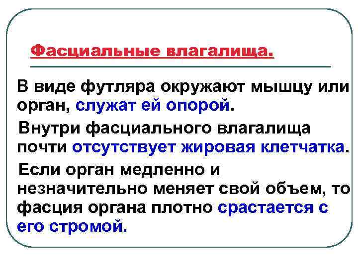 Фасциальные влагалища. В виде футляра окружают мышцу или орган, служат ей опорой. Внутри фасциального