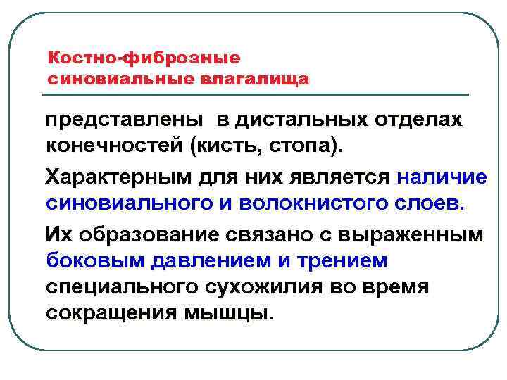 Костно-фиброзные синовиальные влагалища представлены в дистальных отделах конечностей (кисть, стопа). Характерным для них является