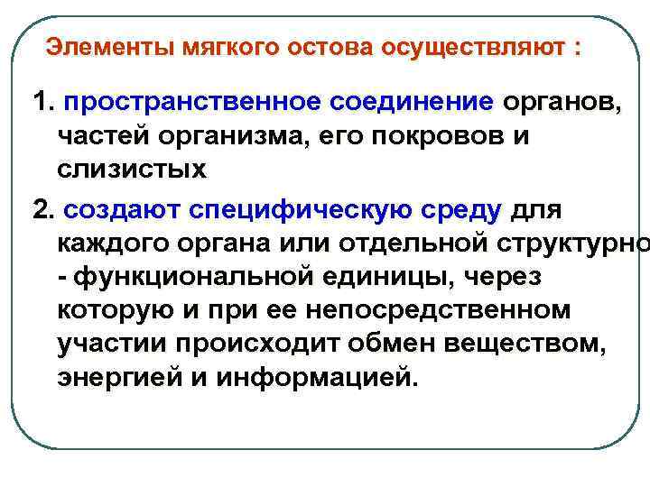 Элементы мягкого остова осуществляют : 1. пространственное соединение органов, частей организма, его покровов и