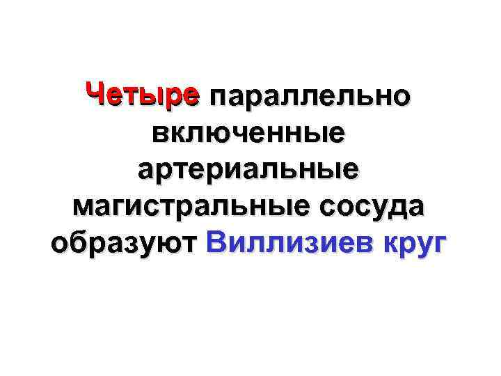 Четыре параллельно включенные артериальные магистральные сосуда образуют Виллизиев круг 