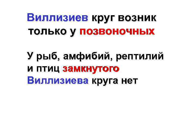 Виллизиев круг возник только у позвоночных У рыб, амфибий, рептилий и птиц замкнутого Виллизиева