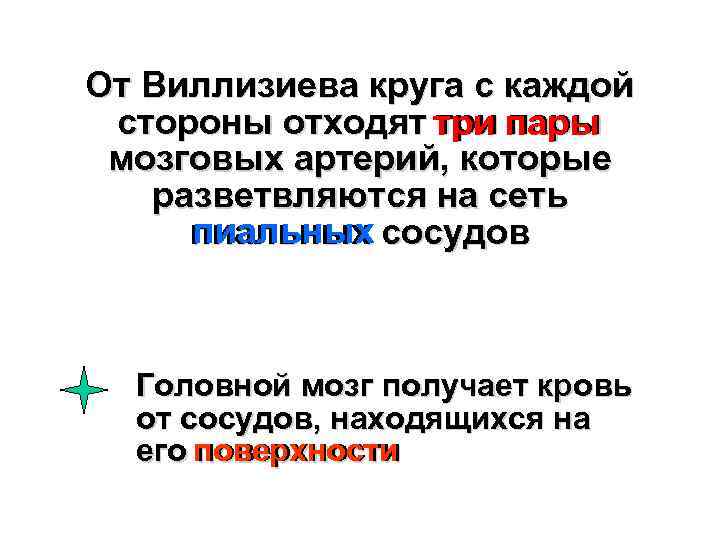 От Виллизиева круга с каждой стороны отходят три пары мозговых артерий, которые разветвляются на