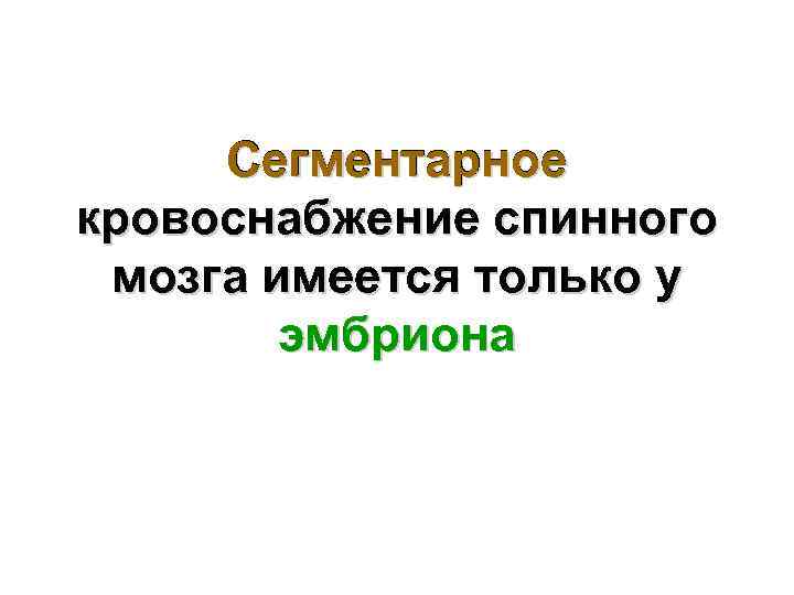 Сегментарное кровоснабжение спинного мозга имеется только у эмбриона 