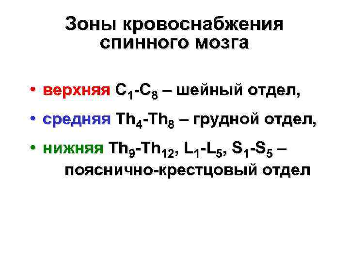 Зоны кровоснабжения спинного мозга • верхняя С 1 -С 8 – шейный отдел, •