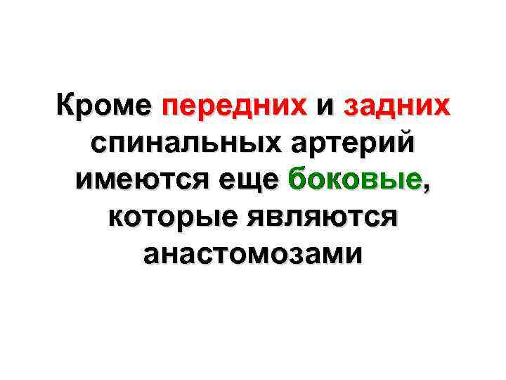 Кроме передних и задних спинальных артерий имеются еще боковые, которые являются анастомозами 