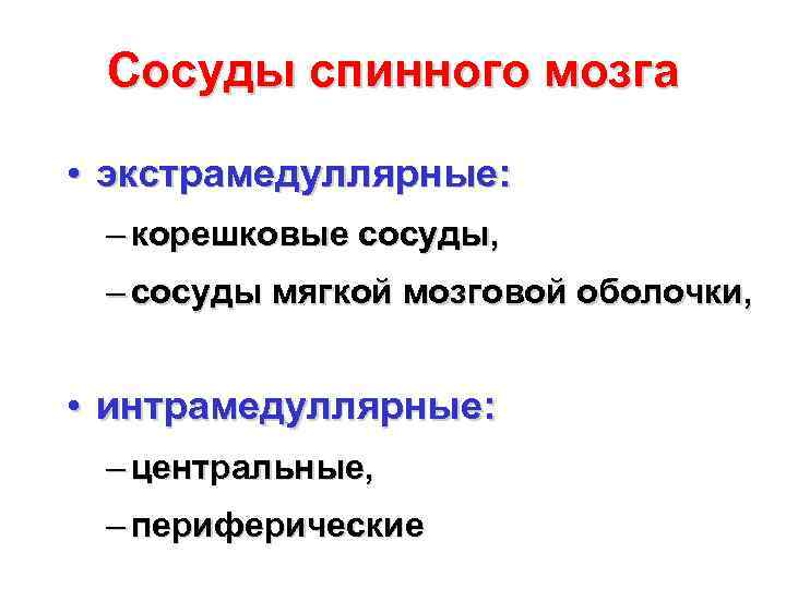 Сосуды спинного мозга • экстрамедуллярные: – корешковые сосуды, – сосуды мягкой мозговой оболочки, •