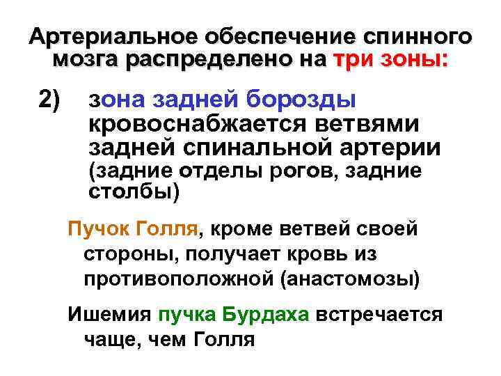 Артериальное обеспечение спинного мозга распределено на три зоны: 2) зона задней борозды кровоснабжается ветвями