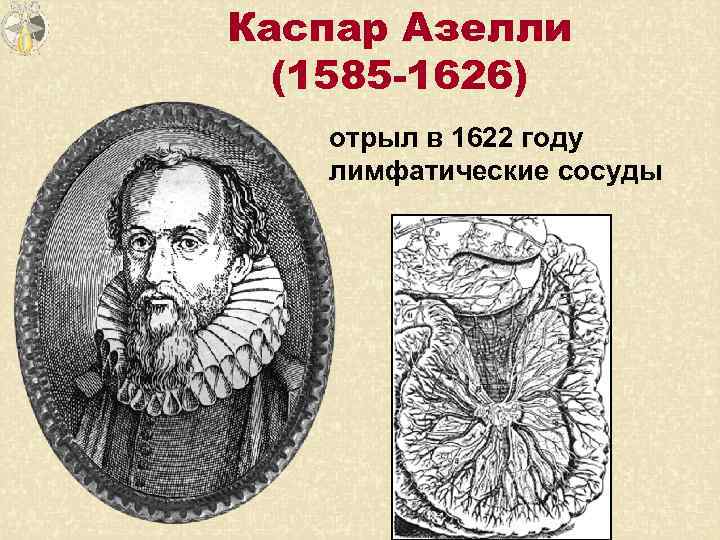 Каспар Азелли (1585 -1626) отрыл в 1622 году лимфатические сосуды 