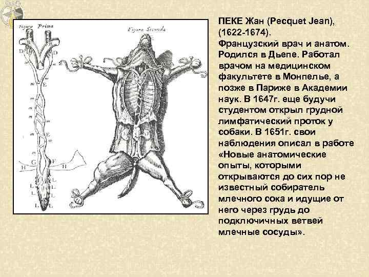 ПЕКЕ Жан (Pecquet Jean), (1622 -1674). Французский врач и анатом. Родился в Дьепе. Работал