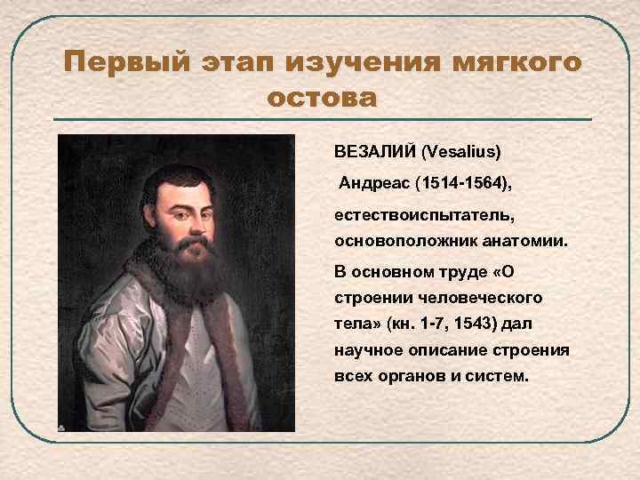 Первый этап изучения мягкого остова ВЕЗАЛИЙ (Vesalius) Андреас (1514 -1564), естествоиспытатель, основоположник анатомии. В