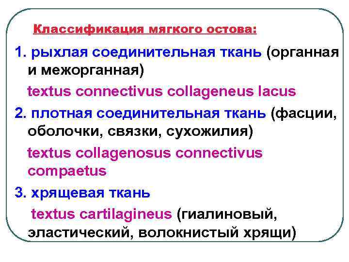 Классификация мягкого остова: 1. рыхлая соединительная ткань (органная и межорганная) textus connectivus collageneus lacus