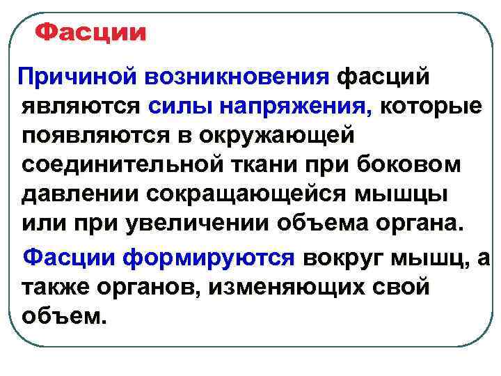 Фасции Причиной возникновения фасций являются силы напряжения, которые появляются в окружающей соединительной ткани при