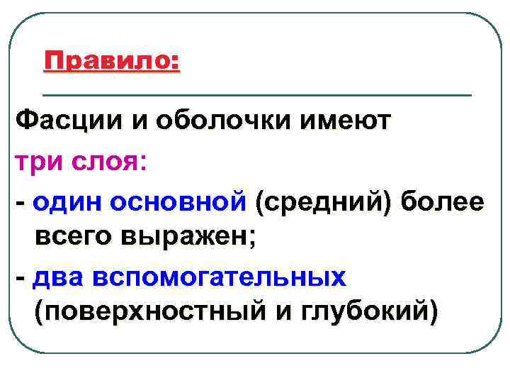 Правило: Фасции и оболочки имеют три слоя: - один основной (средний) более всего выражен;