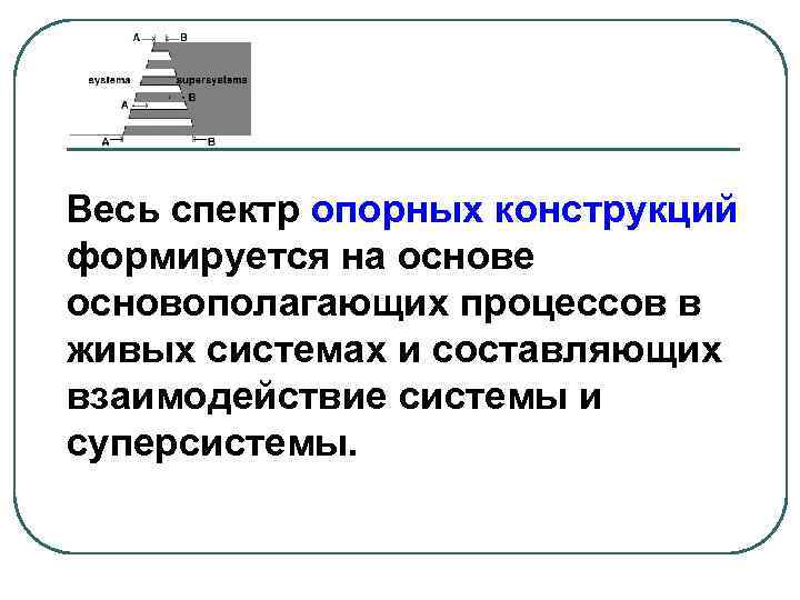 Весь спектр опорных конструкций формируется на основе основополагающих процессов в живых системах и составляющих