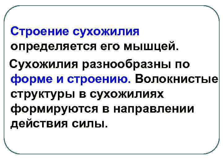 Строение сухожилия определяется его мышцей. Сухожилия разнообразны по форме и строению. Волокнистые структуры в