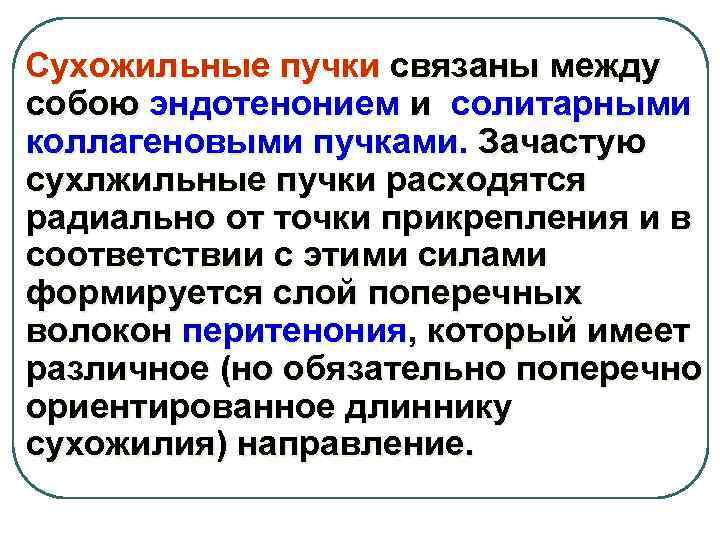 Сухожильные пучки связаны между собою эндотенонием и солитарными коллагеновыми пучками. Зачастую сухлжильные пучки расходятся