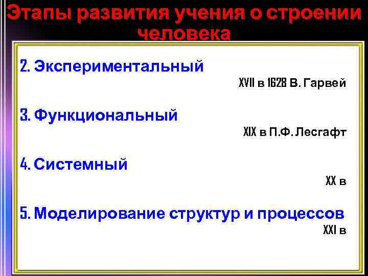 Этапы развития учения о строении человека 2. Экспериментальный XVII в 1628 В. Гарвей 3.