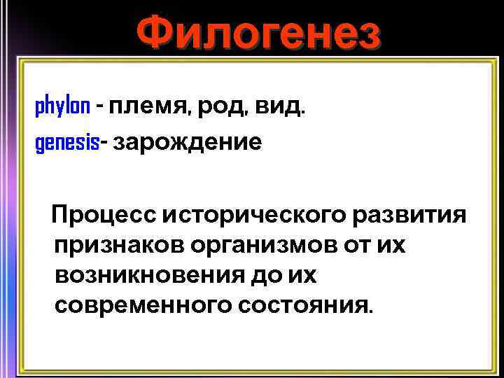 Филогенез phylon - племя, род, вид. genesis- зарождение Процесс исторического развития признаков организмов от