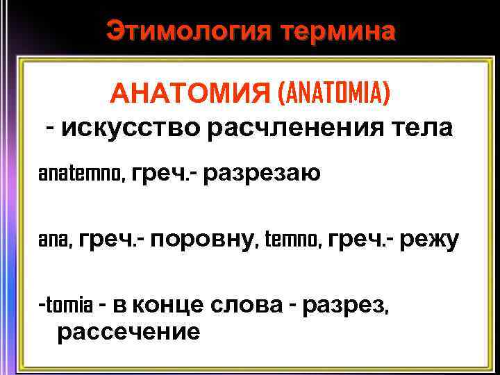 Этимология термина АНАТОМИЯ (ANATOMIA) - искусство расчленения тела anatemno, греч. - разрезаю ana, греч.