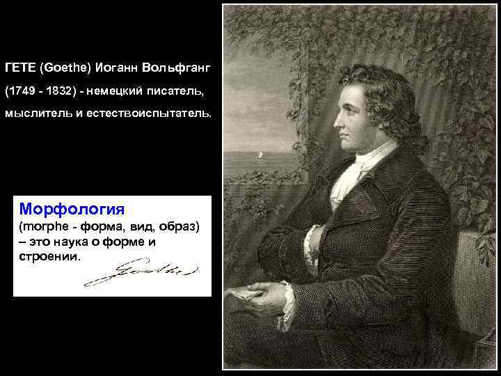 ГЕТЕ (Goethe) Иоганн Вольфганг (1749 - 1832) - немецкий писатель, мыслитель и естествоиспытатель. Морфология