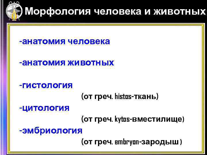 Морфология человека и животных -анатомия человека -анатомия животных -гистология (от греч. histos-ткань) -цитология (от